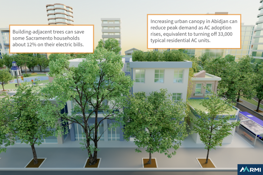 close-up-city-trees